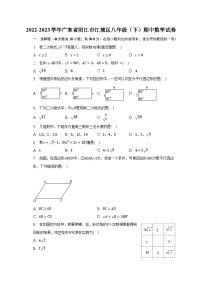 2022-2023学年广东省阳江市江城区八年级（下）期中数学试卷（含解析）