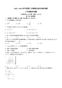 安徽省安庆市望江县杨林初中2022-2023学年八年级下学期期末数学试题（含答案）