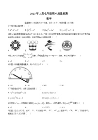 湖南省邵阳市新邵县2022-2023学年七年级下学期期末数学试题（含答案）