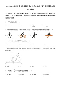 重庆市九龙坡区育才中学校2022-2023学年九年级下学期4月月考数学试题