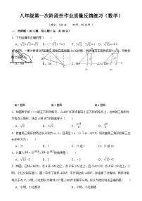 浙江省台州市书生中学2022-2023学年八年级下学期第一次阶段性作业质量反馈练习数学试题