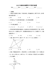 2023年湖南省湘潭市中考数学真题（含解析）