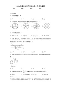 2023年黑龙江省齐齐哈尔市中考数学真题（含解析）