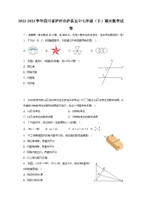 2022-2023学年四川省泸州市泸县五中七年级（下）期末数学试卷（含解析）