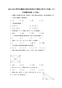 2022-2023学年安徽省合肥市包河区中国科大附中八年级（下）月考数学试卷（5月份）（含解析）