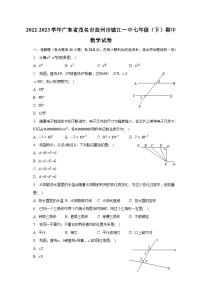 2022-2023学年广东省茂名市高州市镇江一中七年级（下）期中数学试卷（含解析）