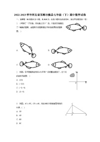 2022-2023学年河北省邯郸市魏县七年级（下）期中数学试卷（含解析）