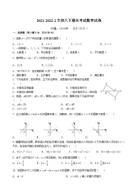 湖南省长沙市2021-2022立信八下期末考试数学试卷带答案