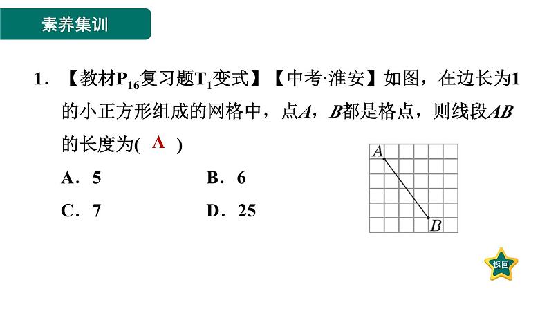 第1章 勾股定理 素养集训利-用勾股定理解题的九种常见题型 作业课件第2页