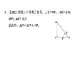 第1章 勾股定理 素养集训利-用勾股定理解题的九种常见题型 作业课件