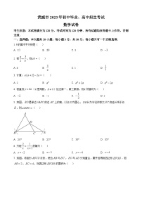 2023年甘肃省武威市中考数学真题