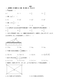 2023年湖南省株洲市中考数学真题