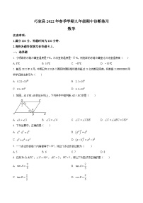 云南省昭通市巧家县2022届九年级下学期期中诊断性练习数学试卷(含解析)