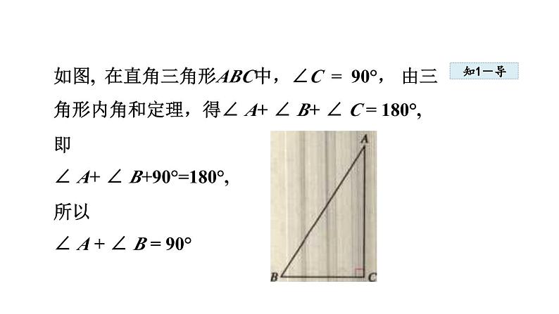 11.2.2 三角形的内角——直角三角形两锐角互余 人教版八年级数学上册同步课件05