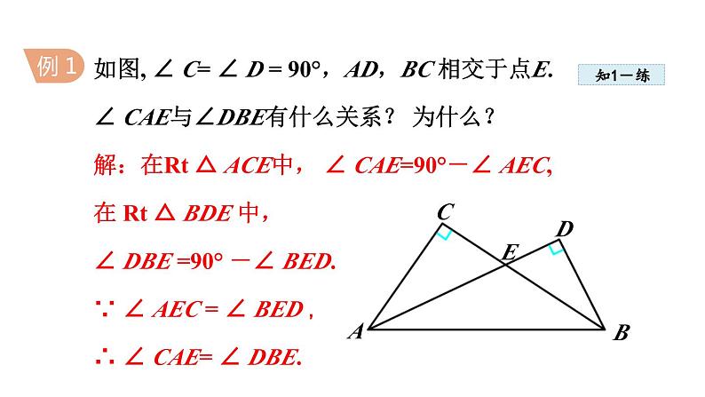 11.2.2 三角形的内角——直角三角形两锐角互余 人教版八年级数学上册同步课件07