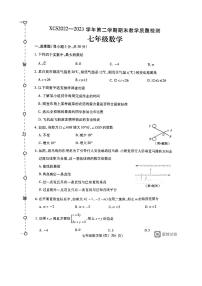 河南省许昌市2022-2023学年七年级下学期7月期末数学试题