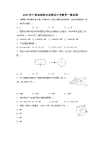 2023年广东省珠海市金湾区中考数学一模试卷（含解析）