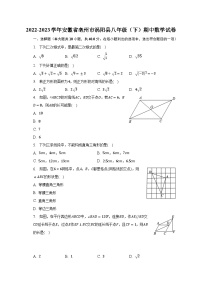 2022-2023学年安徽省亳州市涡阳县八年级（下）期中数学试卷（含解析）