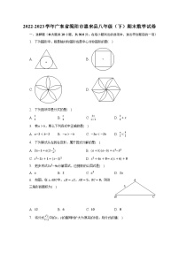 2022-2023学年广东省揭阳市惠来县八年级（下）期末数学试卷（含解析）