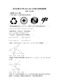 河南省驻马店市驿城区重点中学2022-2023学年七年级下学期期末数学试题