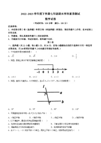 广西壮族自治区南宁市邕宁区2022-2023学年七年级下学期期末数学试题（含答案）