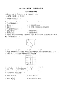 河南省安阳市林州市2022-2023学年七年级下学期期末数学试题（含答案）