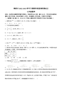 河南省鹤壁市2022-2023学年七年级下学期期末数学试题（含答案）