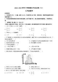 河南省漯河市舞阳县2022-2023学年七年级下学期期末数学试题（含答案）