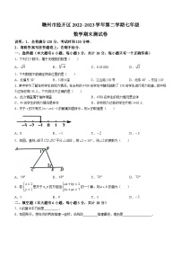 江西省赣州市章贡区开发区2022-2023学年七年级下学期6月期末数学试题（含答案）