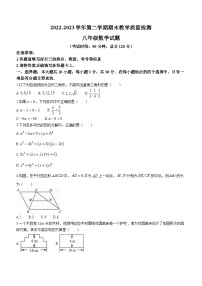 广东省河源市连平县2022-2023学年八年级下学期6月期末数学试题（含答案）