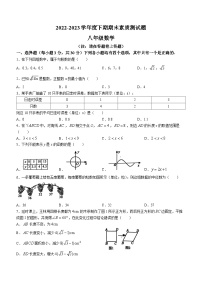 河南省驻马店市确山县2022-2023学年八年级下学期期末数学试题（含答案）