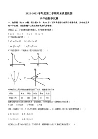 湖北省武汉市硚口区2022-2023学年八年级下学期期末数学试题（含答案）