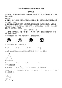 四川省泸州市2022-2023学年八年级下学期期末数学试题（含答案）