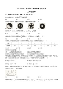 浙江省绍兴市诸暨市2022-2023学年八年级下学期期末数学试题（含答案）