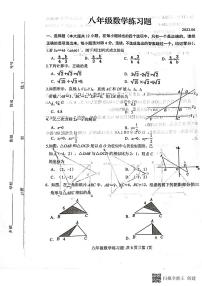 山东省泰安市岱岳区2022-2023学年八年级下学期期末考试数学试题