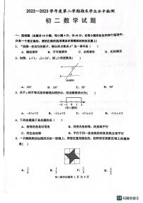 山东省淄博市张店区2022-2023学年七年级下学期期末考试数学试题