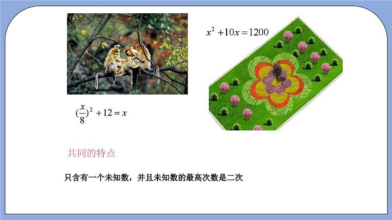 沪教版五四制数学年八年级上册17.1《 一元二次方程的概念》精品教学课件+作业（含答案）06