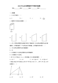 2023年山东省聊城市中考数学真题（含解析）