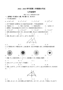 广东茂名市电白区2022一2023学年七年级下学期期末数学试题（含答案）