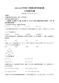 广东省河源市连平县2022-2023学年七年级下学期6月期末数学试题（含答案）