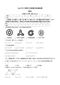 湖南省娄底市涟源市2022-2023学年七年级下学期期末数学试题（含答案）