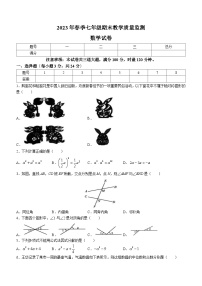 湖南省张家界市桑植县2022-2023学年七年级下学期6月期末数学试题（含答案）