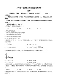 河南省安阳市汤阴县2022-2023学年八年级下学期期末数学试题（含答案）