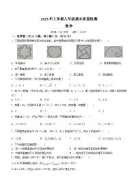 湖南省娄底市涟源市2022-2023学年八年级下学期7月期末数学试题（含答案）