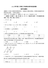 浙江省绍兴市上虞区2022-2023学年八年级下学期期末数学试题（含答案）