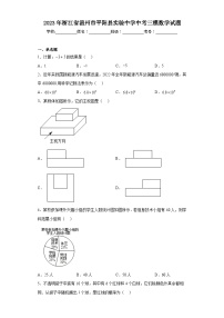 2023年浙江省温州市平阳县实验中学中考三模数学试题（含答案）