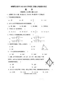 福建师范大学附属中学2022-2023学年七年级下学期期末考试数学试题