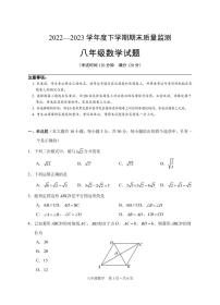 【教研室提供】湖北省广水市2022-2023学年八年级下学期期末质量检测数学试题