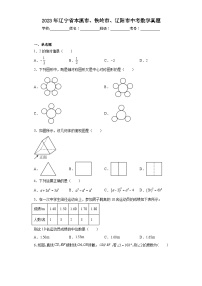 2023年辽宁省本溪市、铁岭市、辽阳市数学中考真题(含答案)
