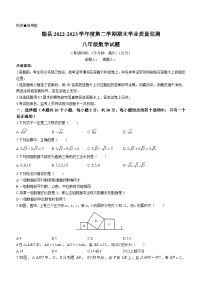 湖北省随州市随县2022-2023学年八年级下学期期末数学试题（含答案）